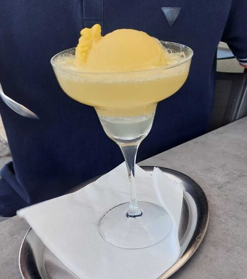 Mangosorbet1
